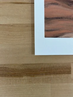 The Ocean Is A Forest - 2010 Kurt Halsey Poster Art Print -Art Poster Store 3EF31ED3 ADF2 4896 B0AA 78B186405D69