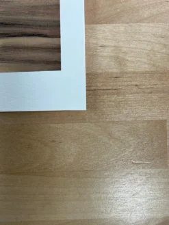 The Ocean Is A Forest - 2010 Kurt Halsey Poster Art Print -Art Poster Store 7E169471 56DD 4EBE 9E35 68F8CD87881C