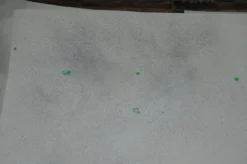 Palynology - Ludo 2016 Screen Printed Poster Signed/numbered Hand Finished 12 Palynology - Ludo 2016 Screen Printed Poster Signed/numbered Hand Finished -Art Poster Store DSC02175