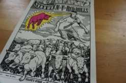 LA Galaxy Vs. New York Red Bulls - 2014 Poster Ames Brothers -Art Poster Store DSC02441