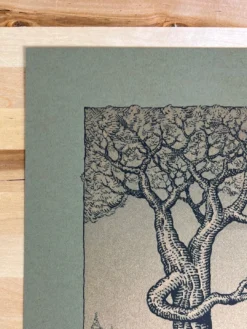 Witness Tree - 2022 David Welker Poster, Art Print (OLIVE) -Art Poster Store image 01c49562 211e 4a19 9720 8ee360c1113c