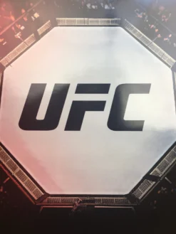 UFC 239, 240, 241 & 242 2019 Poster -Art Poster Store image 090595be 5ced 47a8 b6c6 ed44390bda82 scaled