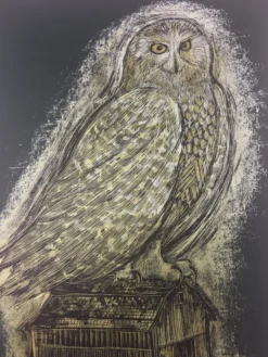 Reconstructed Snowy Owl - Dan Grzeca Poster Art Print