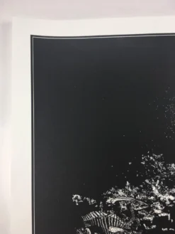 The Darkness - 2011 Dan McCarthy Poster Art Print 1st -Art Poster Store image 0ea9a6c7 3ed6 4048 abeb 5108fec5423b scaled