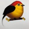 Fat Bird - 2019 Mike Mitchell Poster Wire-tailed Manakin 1st