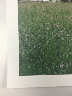 Open City - 2011 Dan MacAdam Crosshair Poster Art Print -Art Poster Store image 15682892 3e2a 46b7 bb70 2f81e03e691f scaled