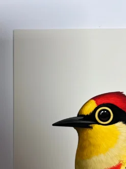 Fat Bird - 2020 Mike Mitchell Poster Yellow Fronted Woodpecker AP -Art Poster Store image 1ed29184 173d 41de 932e 1101604b4303