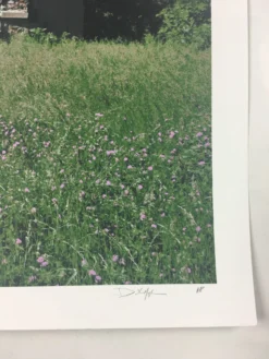 Open City - 2011 Dan MacAdam Crosshair Poster Art Print -Art Poster Store image 2db66aed 847e 4192 8414 834482e7fce8 scaled