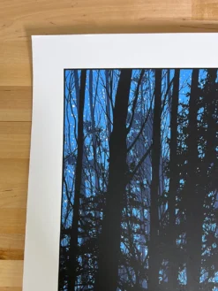 A Night In The Forest - 2010 Dan McCarthy Poster Art Print -Art Poster Store image 2e70b1fd d8b4 4b14 93d7 6f9e3638aff1