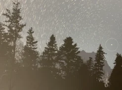 As The World Turns - 2010 Dan McCarthy Poster Art Print