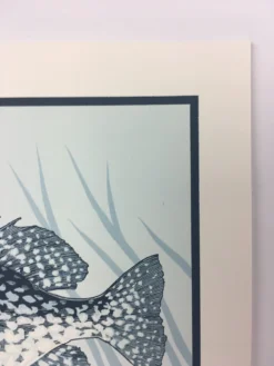 Black Crappie (Pomoxis Nigromaculatus) - 2015 Justin Santora Poster Art Print -Art Poster Store image 33ab2069 5c7e 4f6e a2cd f02a359fabbf scaled