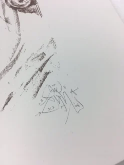 Super Season - 2008 Elph Poster Art Print POW -Art Poster Store image 3402feed e37c 4b78 8fb5 8bab4c6e97cf scaled