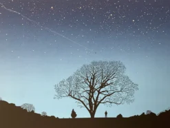 Don Stepped Outside - 2005 Dan McCarthy Poster Art Print