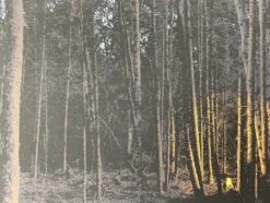 It's Good To Warm My Bones Beside The Fire - 2011 Dan McCarthy Poster Art Print