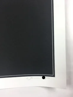 The Darkness - 2011 Dan McCarthy Poster Art Print 1st -Art Poster Store image 3b9bb4ac 207f 40fa 9433 0f67c1e20ff0 scaled