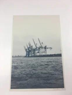 Cranes - 2011 Dan MacAdam Crosshair Poster Art Print -Art Poster Store image 43d37dc0 8b47 4f12 a97b 55179a3f9eba scaled