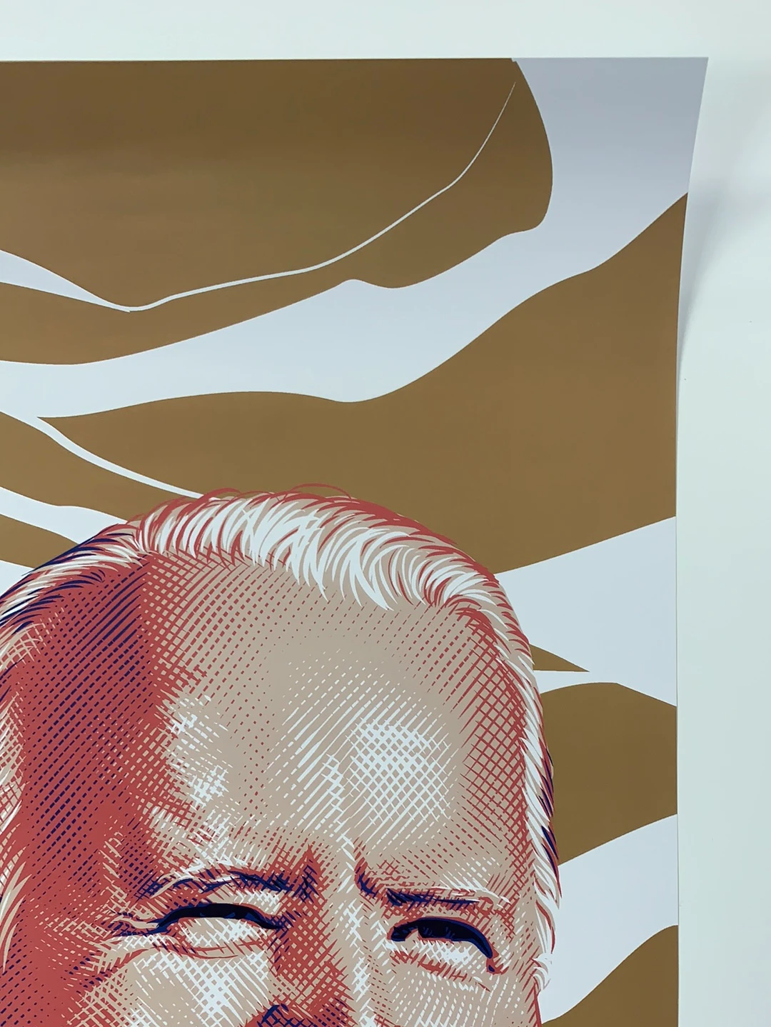 Inaugural Poster - 2021 Tracie Ching Joe Biden Kamala Harris Inauguration OFFICIAL 4 Inaugural Poster - 2021 Tracie Ching Joe Biden Kamala Harris Inauguration OFFICIAL - Image 4