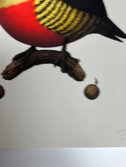 Fat Bird - 2020 Mike Mitchell Poster Yellow Fronted Woodpecker AP -Art Poster Store image 618c6566 feca 44c2 b794 3575f83df7ca