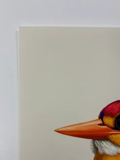 Fat Bird - 2020 Mike Mitchell Poster Rufous-Backed Dwarf Kingfisher 1st -Art Poster Store image 61a4dbeb c585 4f87 b056 897f135188f6