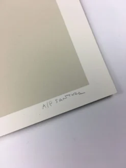 Paper Planes (Chicago Series) - 2013 Justin Santora Poster Art Print -Art Poster Store image 61ec9abc 40b0 40f8 9896 3f418012a148 scaled