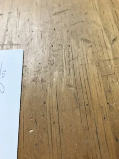 Fat Bird - 2017 Mike Mitchell Poster Himalayan Bulbul -Art Poster Store image 63a00520 0d67 48bd b5d9 a9daaa6ca021 scaled