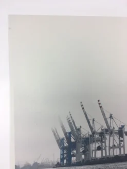 Cranes - 2011 Dan MacAdam Crosshair Poster Art Print -Art Poster Store image 663d79e8 e18a 444a 9da2 3c118b9b425c scaled