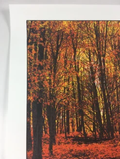 Elder Days - 2010 Dan McCarthy Poster Art Print -Art Poster Store image 66fcc632 f8ba 462c 8e85 4d1b880ff0af scaled