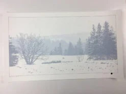 The Call Of The Wild - 2011 Dan McCarthy Poster Art Print -Art Poster Store image 7004a151 ef1f 4d70 a3df 27d4296d5789 scaled