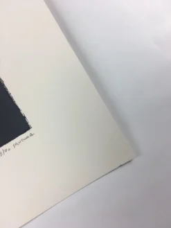 Summit - 2012 Justin Santora Poster Art Print -Art Poster Store image 70454262 f750 4b8e bf6f fe3a20153ae0 scaled