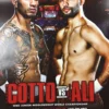 Boxing - 2017 Cotto Vs Ali World Championship Poster