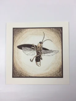 Common Firefly (Photinus Pyralis) - 2015 Justin Santora Poster Art Print -Art Poster Store image 82186df3 bd2c 40d4 ae49 765f2fdd825d scaled