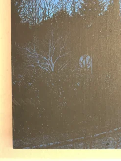 Breadcrumb Trail - 2017 Dan McCarthy WOOD Panel, Art Print Poster -Art Poster Store image 84322a60 afbc 4bc6 9bfd 7f3e9c5f84ee