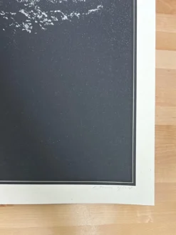 The Darkness - 2011 Dan McCarthy Poster Art Print AP -Art Poster Store image 8b22808b 7b17 4641 accb 8d8a02c86596