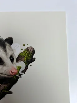 Virginia Opossum - 2018 Mike Mitchell Poster Art Print Variant -Art Poster Store image 8bb096b9 0eba 4ee8 9da2 5552ce007302