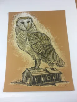 Reconstructed Barn Owl - 2013 Dan Grzeca Poster Art Print Burnt Orange -Art Poster Store image 94344e00 1602 436d b68a 29cbe18017a8 scaled