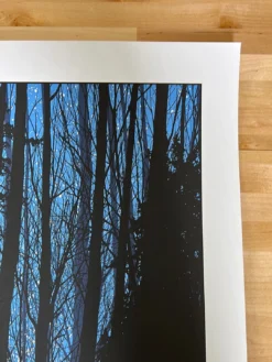 A Night In The Forest - 2010 Dan McCarthy Poster Art Print -Art Poster Store image 9fb5a261 a8e4 419f a5eb 5b929879dbe2