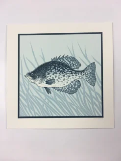 Black Crappie (Pomoxis Nigromaculatus) - 2015 Justin Santora Poster Art Print -Art Poster Store image beffbeec 9b0a 46cc 9d04 4b32cb5ca416 scaled
