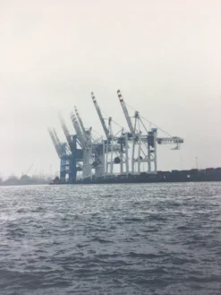 Cranes - 2011 Dan MacAdam Crosshair Poster Art Print