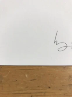 Fat Bird - 2017 Mike Mitchell Poster Himalayan Bulbul -Art Poster Store image c8d6d7f4 ffd9 4639 81e9 179f7b926b46 scaled