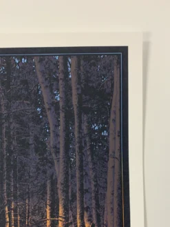 It's Good To Warm My Bones Beside The Fire - 2011 Dan McCarthy Poster Art Print -Art Poster Store image cd417de4 5af4 45a5 aa7c 57b7345f04f9