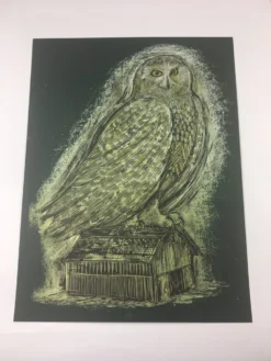 Reconstructed Snowy Owl - Dan Grzeca Poster Art Print -Art Poster Store image d244cda2 0c33 4bc1 9de8 418e8763dd7e scaled