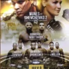 UFC 213 Poster - Nunes Vs Shevchenko 2