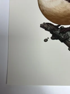 Fat Bird - 2019 Mike Mitchell Poster Carolina Wren Variant -Art Poster Store image e3ff57df 947f 420c b7db 74a7ecd735df