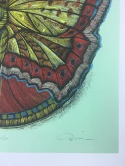 Wooden Resurrection Butterfly - 2013 Dan Grzeca Poster Art Print -Art Poster Store image e5f5c2e0 1e8a 466b 96e8 f79c8ecb2716 scaled