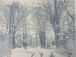 Cold Hands And Warm Hearts - 2018 Dan McCarthy Poster, Art Print