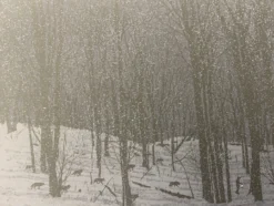 Guiding Light - 2010 Dan McCarthy Poster Art Print