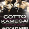 Boxing - 2017 Cotto Vs Kamegai Poster