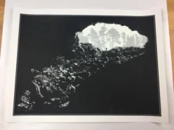 The Darkness - 2011 Dan McCarthy Poster Art Print 1st -Art Poster Store image grande 04da11e0 077b 4d4e 87be 645c414e7e98