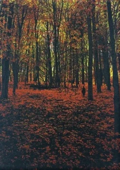 Elder Days - 2010 Dan McCarthy Poster Art Print