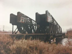 Ides #2 - 2013 Dan MacAdam Crosshair Poster Art Print